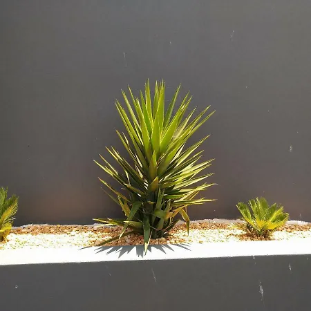 Casa Sensa אלבופיירה