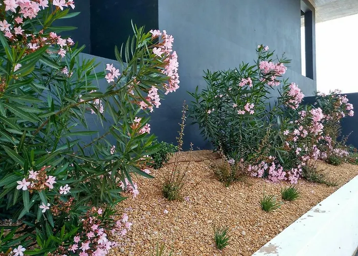 Apartament Casa Sensa