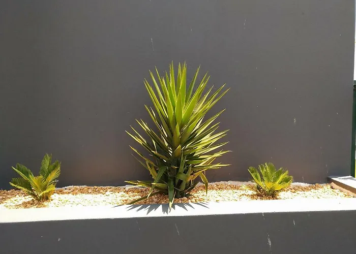 Casa Sensa Albufeira