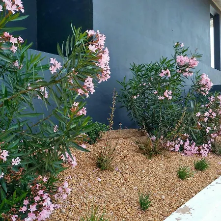 דירה Casa Sensa
